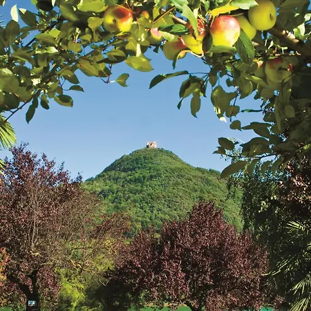 호텔 Seegarten 4*